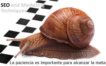 marketing y seo marketing y seo
